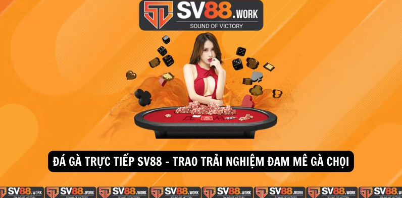 Các loại cược đá gà tại sv88 Các loại cược đá gà tại sv88